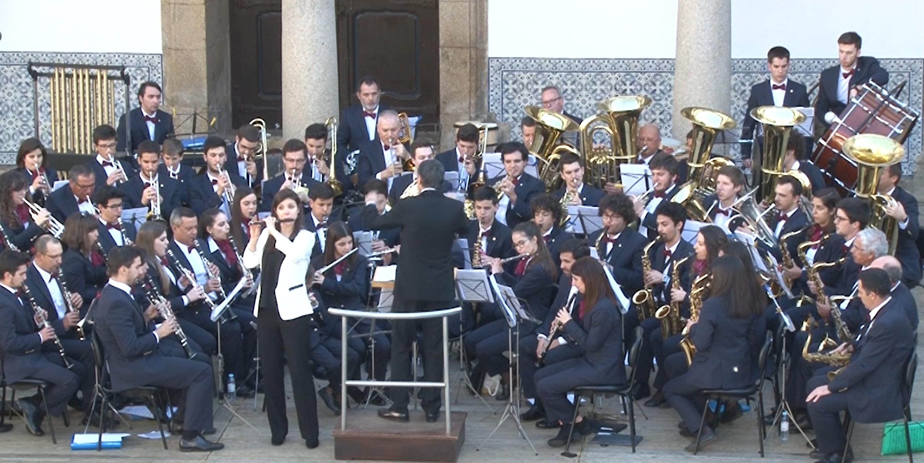 Adriana Ferreira (substituir)